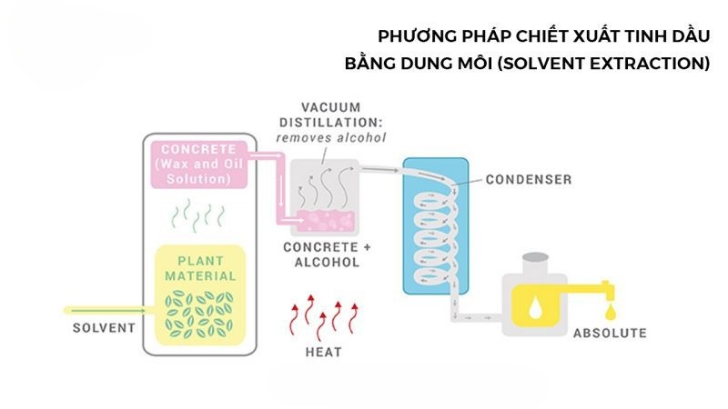 Chiết xuất bằng dung môi (Solvent Extraction)