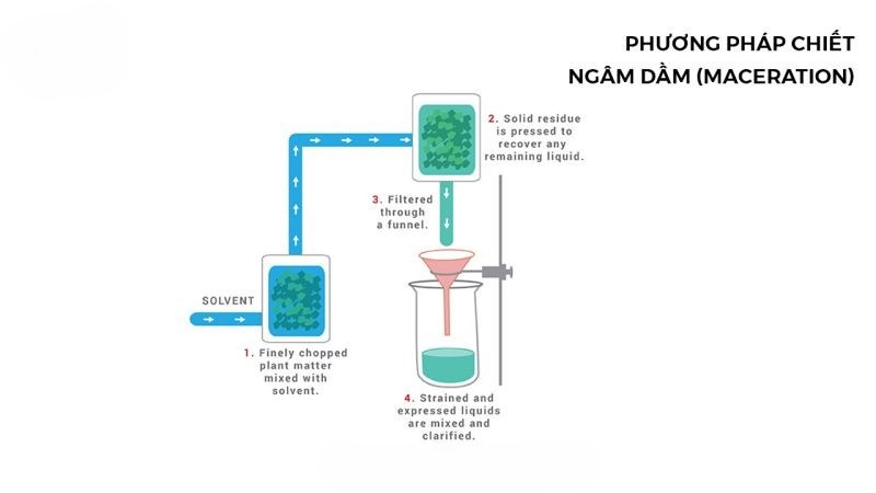 Phương pháp ngâm dầm chiết xuất tinh dầu nước hoa (Maceration)