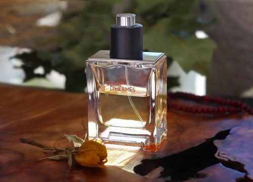 Lịch sử Terre d'Hermes Parfum