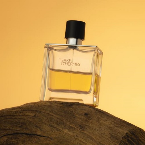 Mùi Hương Terre d'Hermes Parfum