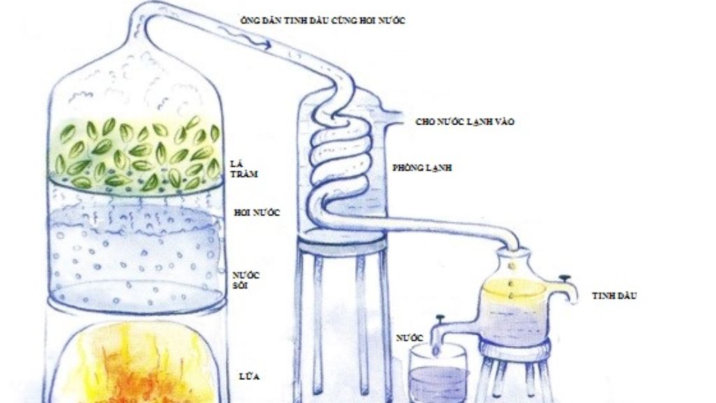quy trình sản xuất nước hoa
