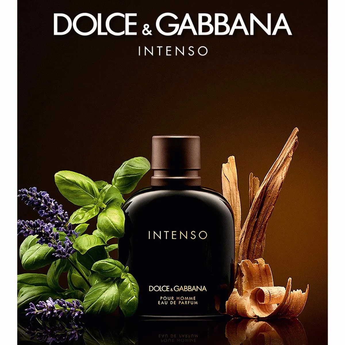 Nước hoa Dolce & Gabbana Pour Homme Intenso chính hãng - Tprofumo
