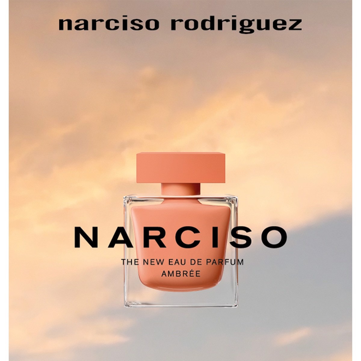 Narciso Ambree 1