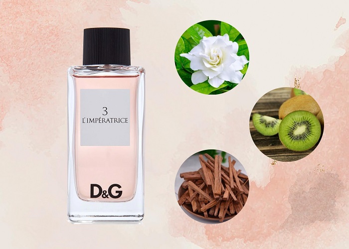 Mùi hương của nước hoa nữ Dolce & Gabbana Anthology L’lmperatrice 3