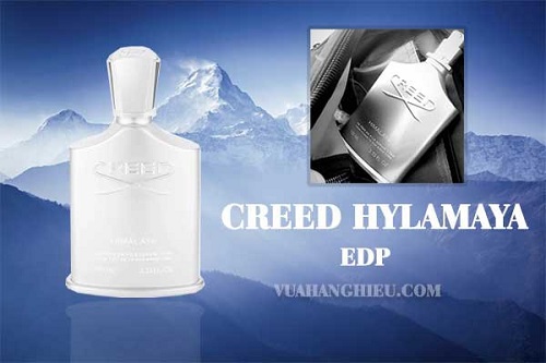 Thiết kế Creed Himalaya