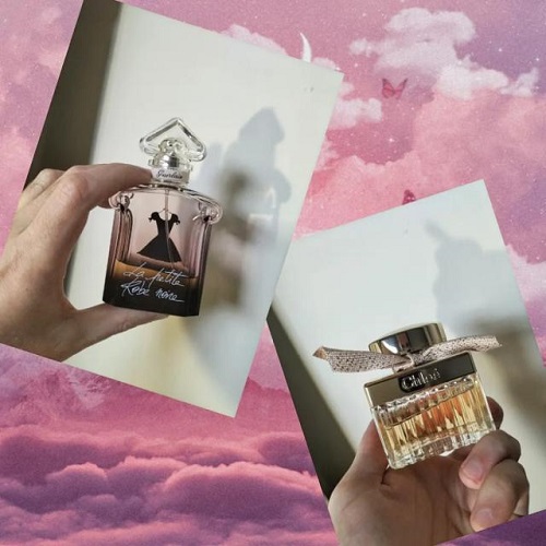 Mùi hương Chloe Absolu De Parfum