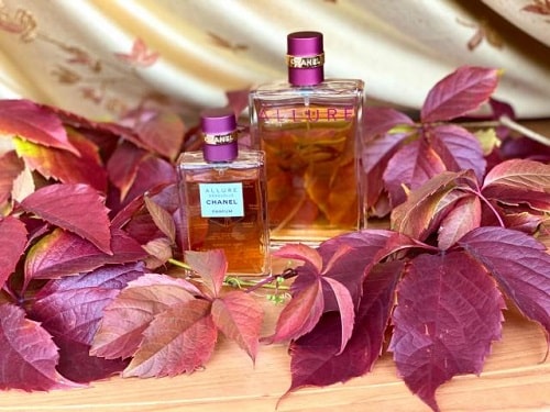 Chanel Allure Sensuelle  Nước Hoa Cao Cấp  Nước hoa chính hãng 100 nhập  khẩu Pháp MỹGiá tốt tại Perfume168