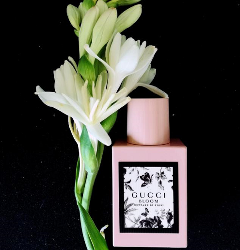 Mùi Hương Gucci Bloom Nettare Di Fiori