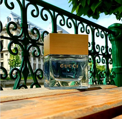 Thiết Kế gucci pour homme ii