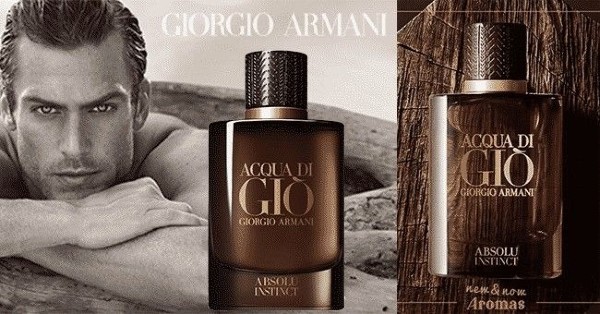 Giorgio Armani Acqua Di Gio Absolu Instinct