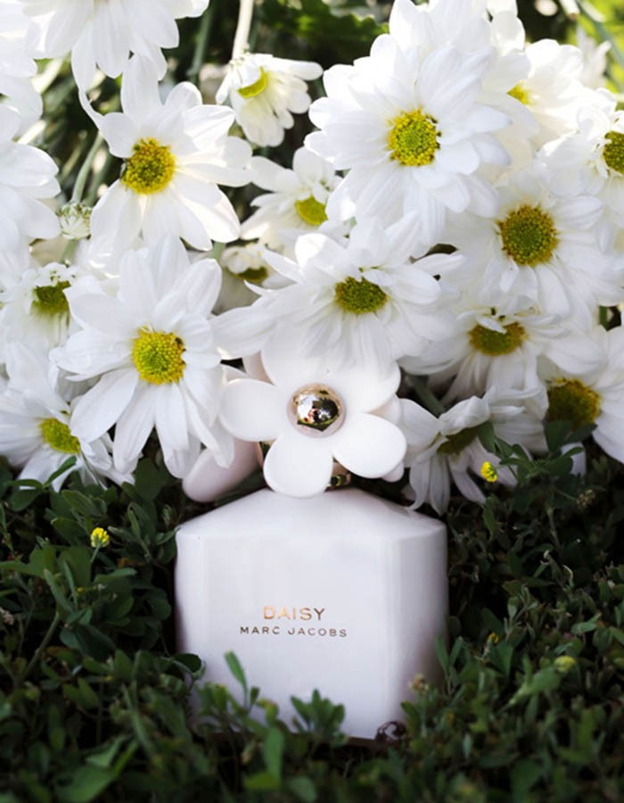 Marc Jacobs Daisy White 10th Anniversary Edition 1