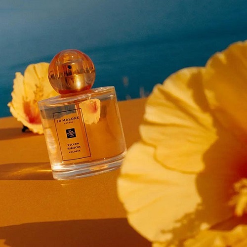 Lịch sử Jo Malone London Yellow Hibiscus Cologne