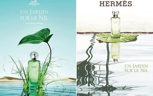 Mùi Hương Hermes Un Jardin Sur Le Nil