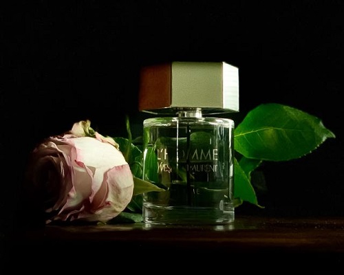 Mùi hương Yves Saint Laurent L'Homme Ultime