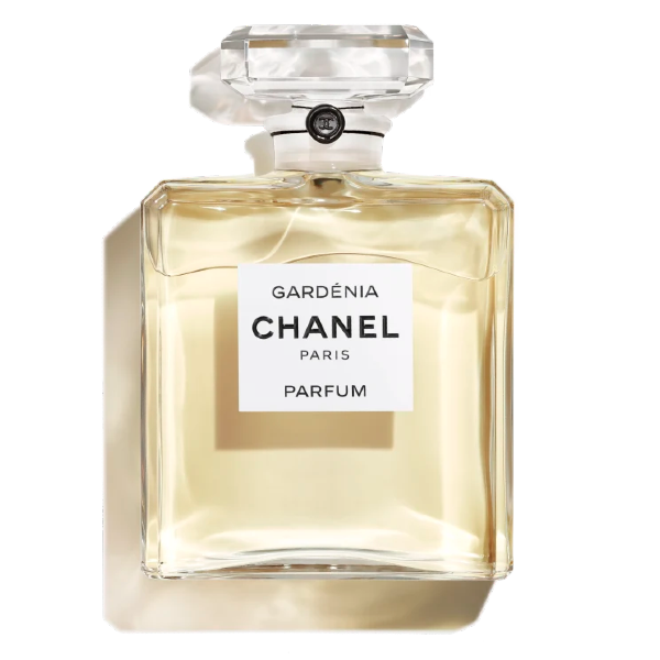 Chanel Grand Extrait - Món quà dành tặng cho phái đẹp 