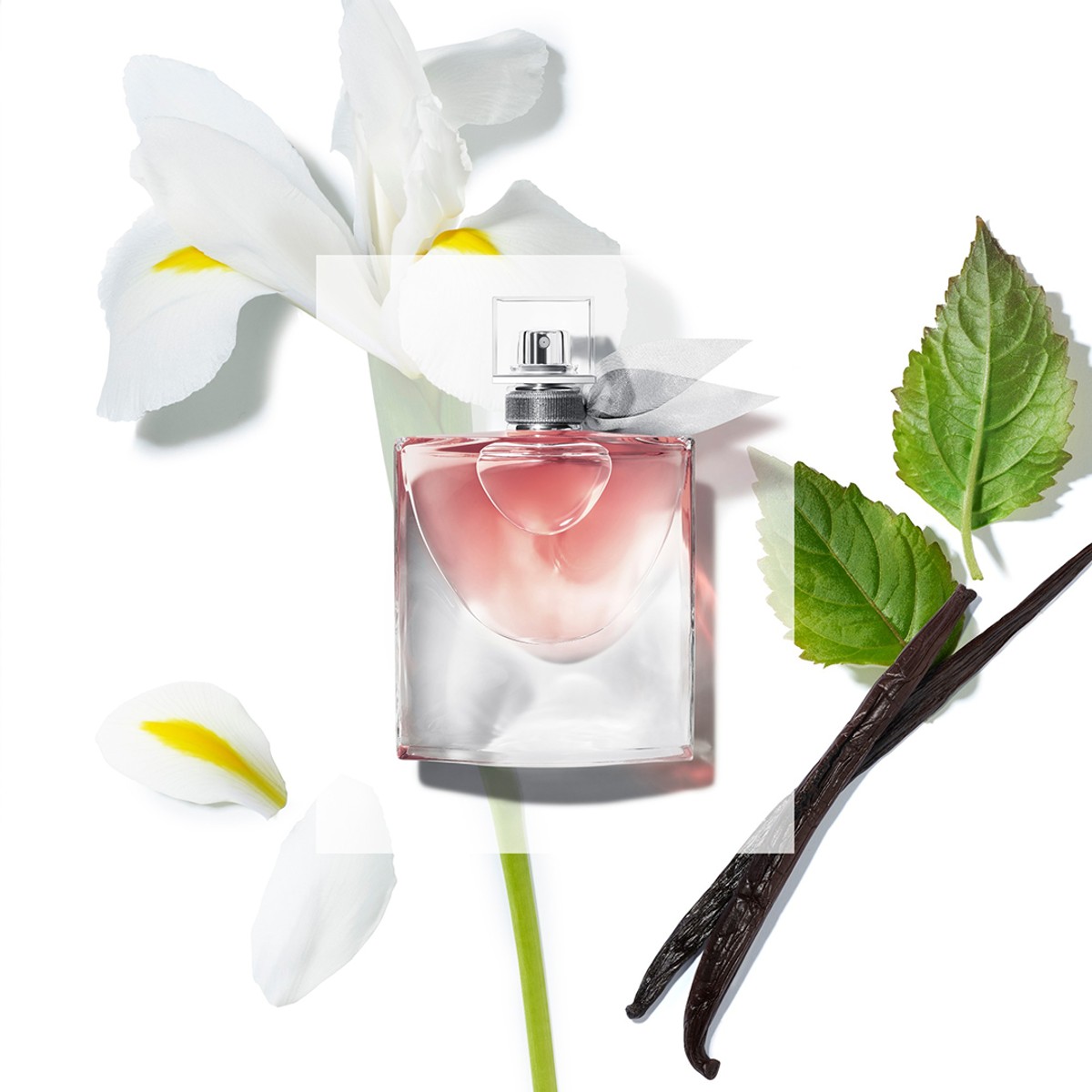 Review nước hoa mùi hoa nhài có mùi thơm nhất